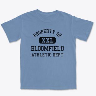 Bloomfield Vermont Athletic Dept Premium Heavyweight T-shirt