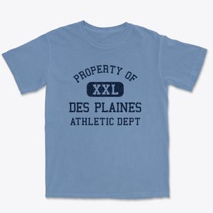 Des Plaines Illinois Athletic Dept Premium Heavyweight T-shirt