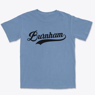 Burnham Illinois Vintage Team Premium Heavyweight T-shirt