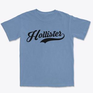 Hollister North Carolina Vintage Team Premium Heavyweight T-shirt