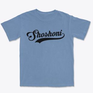 Shoshoni Wyoming Vintage Team Premium Heavyweight T-shirt
