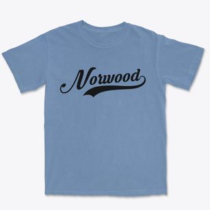 Norwood Ohio Vintage Team Premium Heavyweight T-shirt