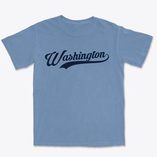 Washington North Carolina Vintage Team Premium Heavyweight T-shirt