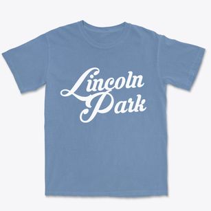 Lincoln Park New York Vintage Team Premium Heavyweight T-shirt