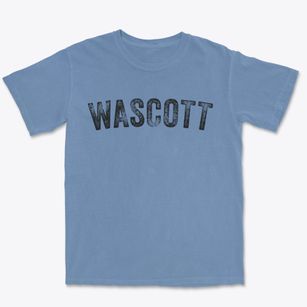 Wascott Wisconsin Timeless Retro Premium Heavyweight T-shirt