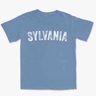 Sylvania Alabama Timeless Retro Premium Heavyweight T-shirt