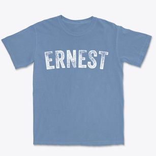 Ernest Pennsylvania Timeless Retro Premium Heavyweight T-shirt