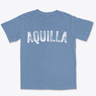 Aquilla Texas Timeless Retro Premium Heavyweight T-shirt