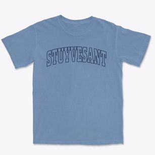 Stuyvesant New York Trendy Block Premium Heavyweight T-shirt