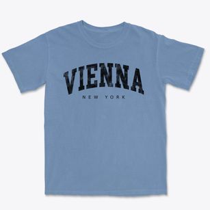 Vienna New York Urban Vibe Premium Heavyweight T-shirt
