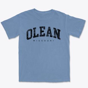 Olean Missouri Urban Vibe Premium Heavyweight T-shirt