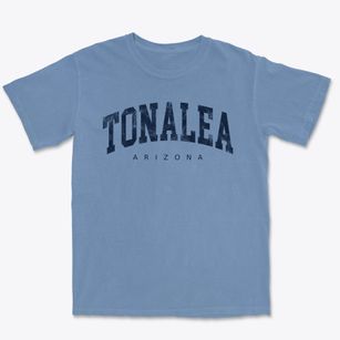 Tonalea Arizona Urban Vibe Premium Heavyweight T-shirt