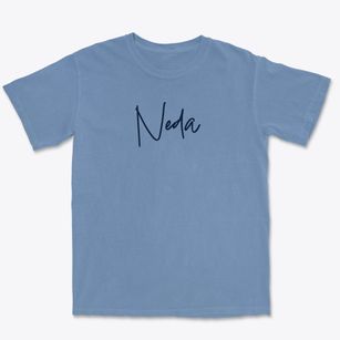 Neda Wisconsin Freestyle Premium Heavyweight T-shirt