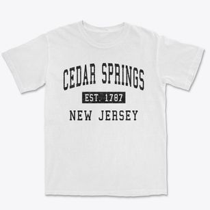 Cedar Springs New Jersey Classic Established Premium Heavyweight T-shirt