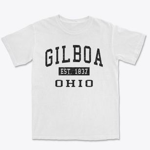 Gilboa Ohio Classic Established Premium Heavyweight T-shirt
