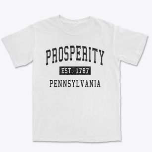 Prosperity Pennsylvania Classic Established Premium Heavyweight T-shirt