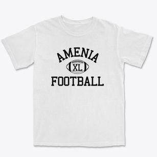 Amenia School Classic Football Premium Heavyweight T-shirt