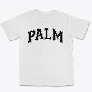 Palm Elementary School Varsity Arch Premium Heavyweight T-shirt