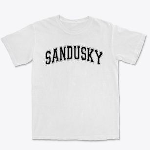 Sandusky Middle School Varsity Arch Premium Heavyweight T-shirt