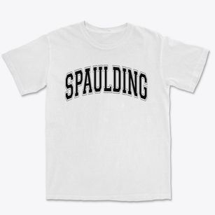 Spaulding Elementary School Varsity Arch Premium Heavyweight T-shirt