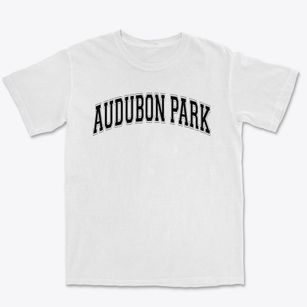 Audubon Park Elementary School Varsity Arch Premium Heavyweight T-shirt
