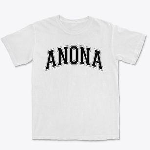 Anona Elementary School Varsity Arch Premium Heavyweight T-shirt