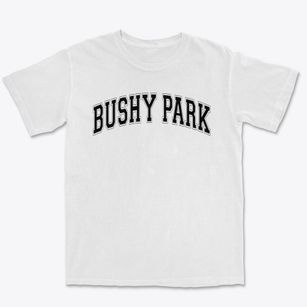 Bushy Park Elementary School Varsity Arch Premium Heavyweight T-shirt