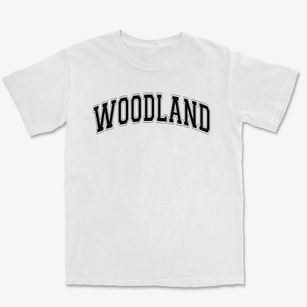 Woodland Elementary School Varsity Arch Premium Heavyweight T-shirt