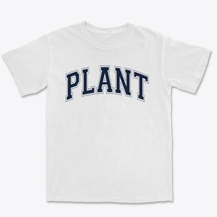 Plant High School Varsity Arch Premium Heavyweight T-shirt