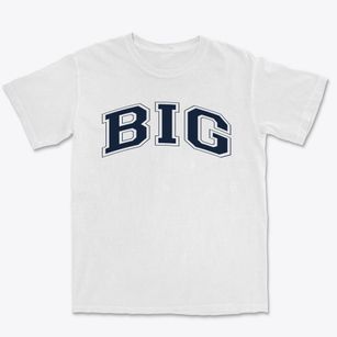 Big School Varsity Arch Premium Heavyweight T-shirt