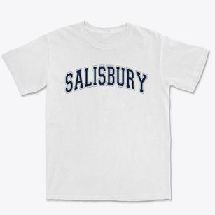 Salisbury Elementary School Varsity Arch Premium Heavyweight T-shirt
