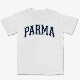 Parma Developmental School Varsity Arch Premium Heavyweight T-shirt
