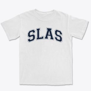 The School Of Liberal Arts And Science Varsity Arch Premium Heavyweight T-shirt