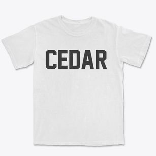 Cedar Michigan Classic Block Premium Heavyweight T-shirt
