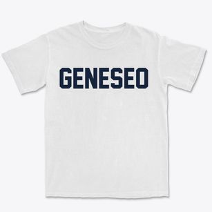 Geneseo Illinois Classic Block Premium Heavyweight T-shirt