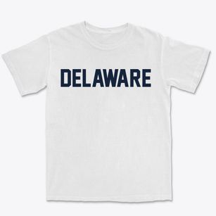 Delaware New York Classic Block Premium Heavyweight T-shirt