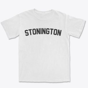 Stonington Illinois Classic Curve Premium Heavyweight T-shirt