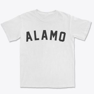 Alamo North Dakota Classic Curve Premium Heavyweight T-shirt