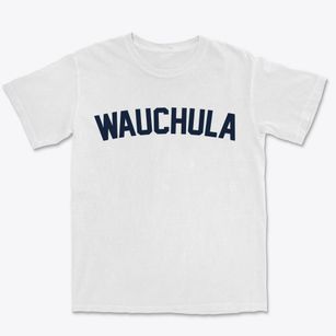 Wauchula Florida Classic Curve Premium Heavyweight T-shirt