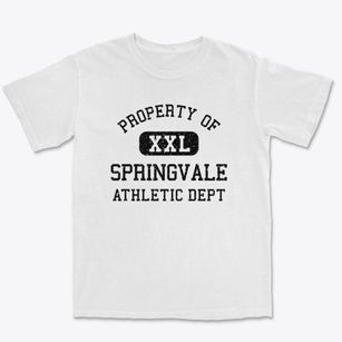 Springvale Wisconsin Athletic Dept Premium Heavyweight T-shirt