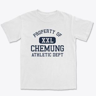 Chemung New York Athletic Dept Premium Heavyweight T-shirt