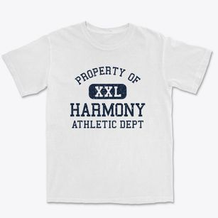 Harmony New York Athletic Dept Premium Heavyweight T-shirt
