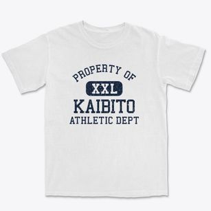 Kaibito Arizona Athletic Dept Premium Heavyweight T-shirt