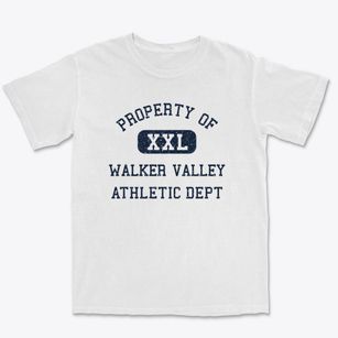 Walker Valley New York Athletic Dept Premium Heavyweight T-shirt