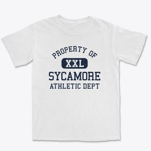 Sycamore Illinois Athletic Dept Premium Heavyweight T-shirt
