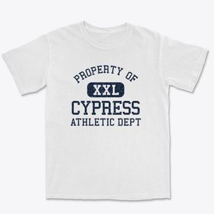 Cypress Illinois Athletic Dept Premium Heavyweight T-shirt