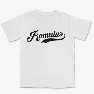 Romulus New York Vintage Team Premium Heavyweight T-shirt