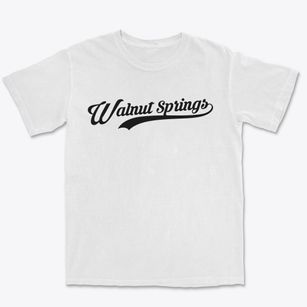 Walnut Springs Texas Vintage Team Premium Heavyweight T-shirt
