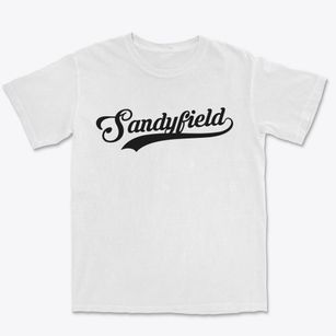 Sandyfield North Carolina Vintage Team Premium Heavyweight T-shirt