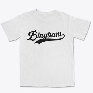 Bingham Illinois Vintage Team Premium Heavyweight T-shirt